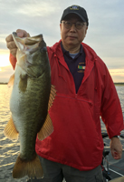 orlando bass
